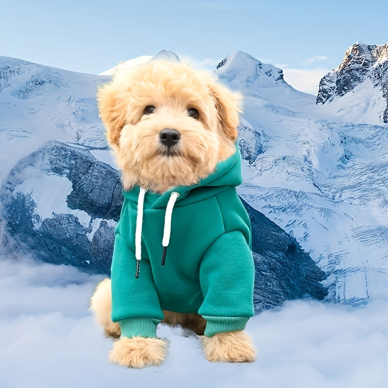 Cozy Pet Hoodie with Back Pocket