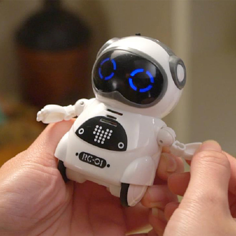 Interactive Mini RC Robot Toy