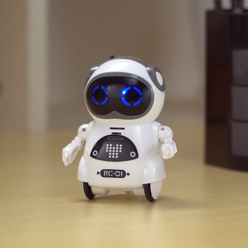 Interactive Mini RC Robot Toy